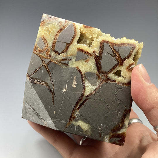 Septarian Cube - Rocks and Gems Canada
