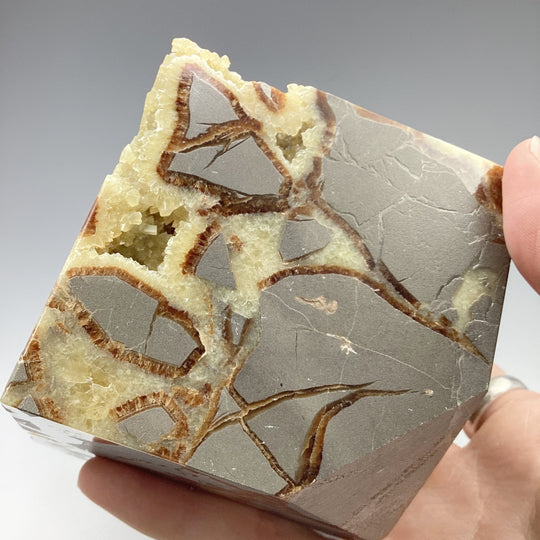 Septarian Cube - Rocks and Gems Canada
