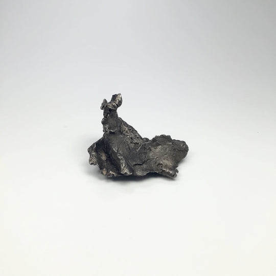 Sikhote-Alin Shrapnel Meteorite - Rocks and Gems Canada