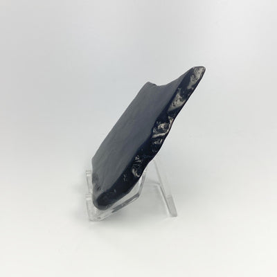 Shungite Slice