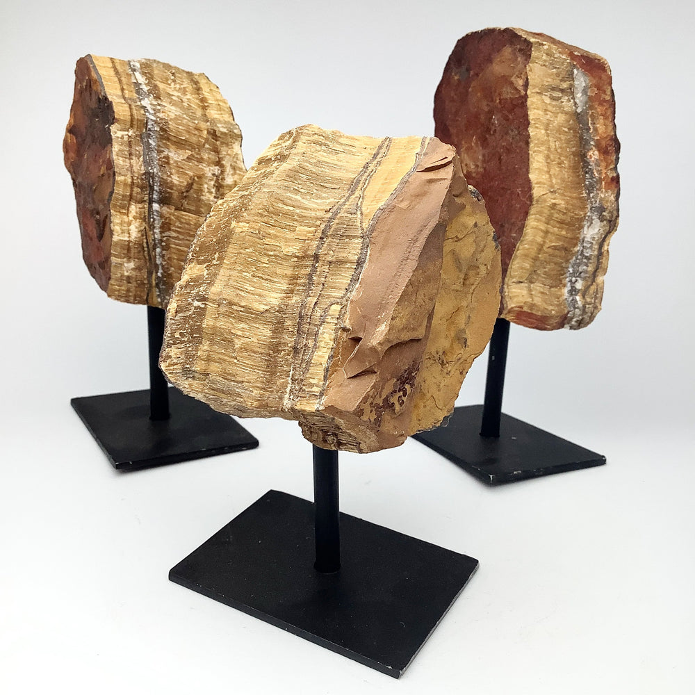Rough Tiger Eye on Display Stand - Rocks and Gems Canada