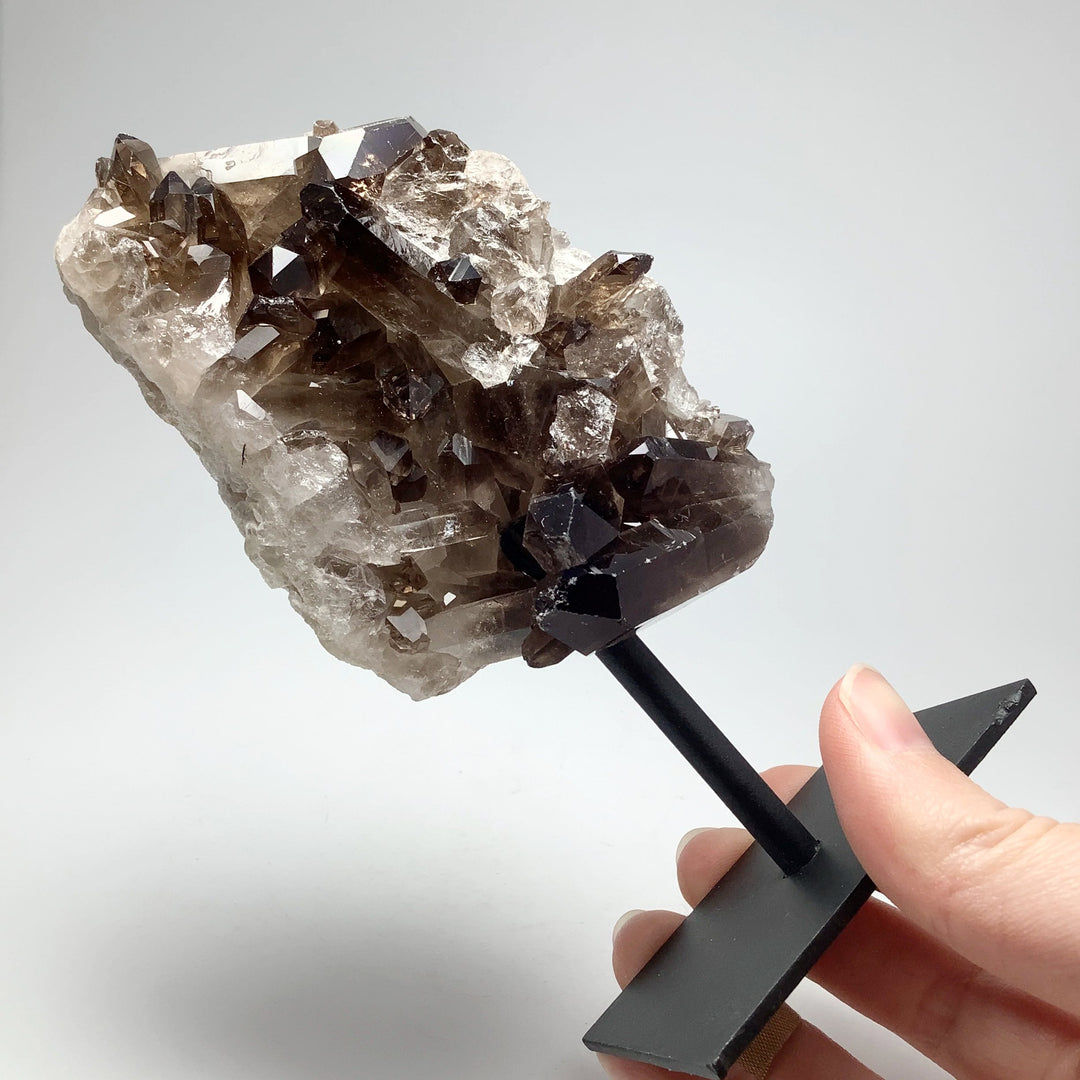 Smoky Quartz Cluster on Display Stand - Rocks and Gems Canada