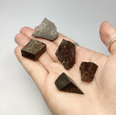 Chondrite Meteorite Specimen at $45 Each
