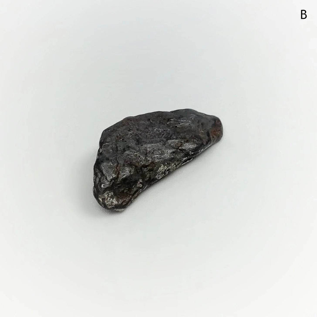 Uruacu Meteorite - Rocks and Gems Canada