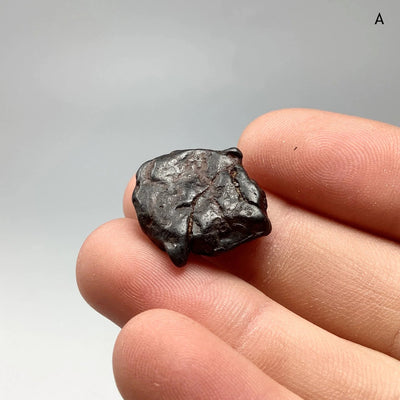 Uruacu Meteorite at $79 Each