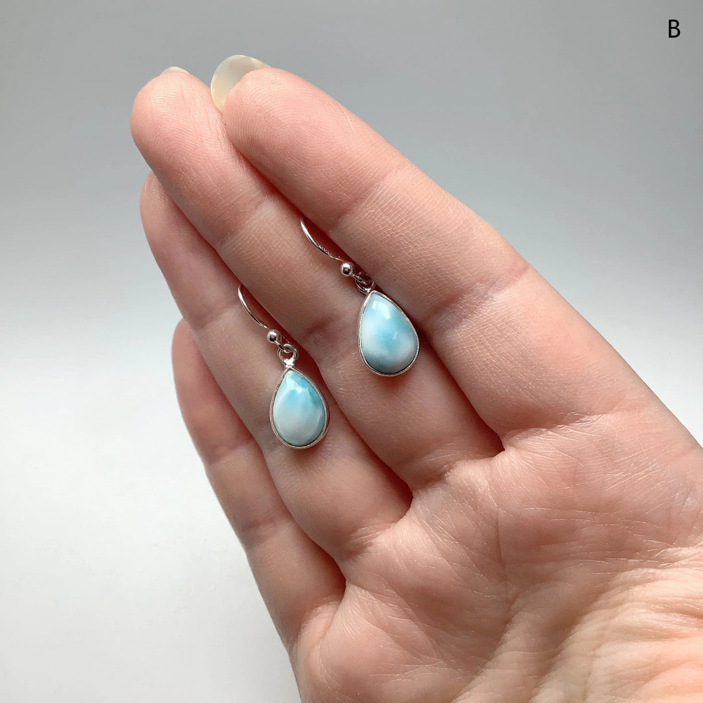 Larimar Dangle Earrings