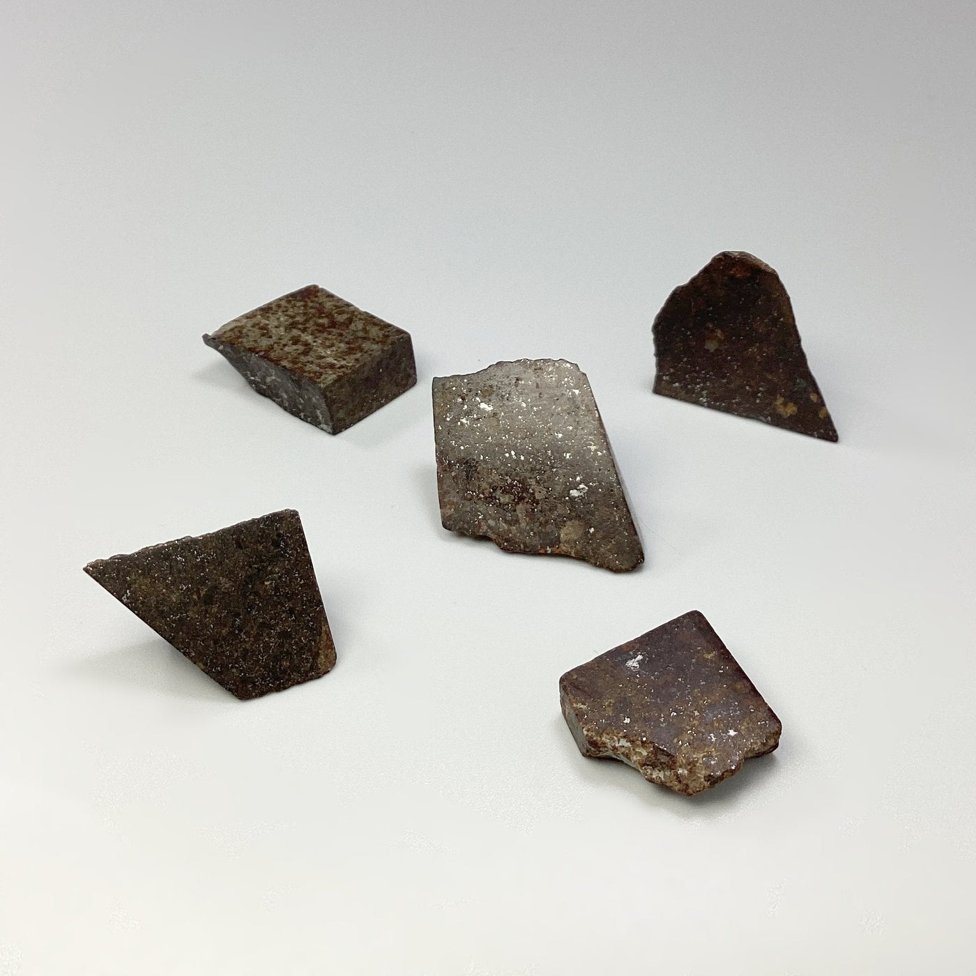Chondrite Meteorite Specimen at $45 Each