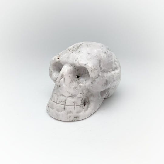 Carved Agate Skull - Rocks and Gems Canada