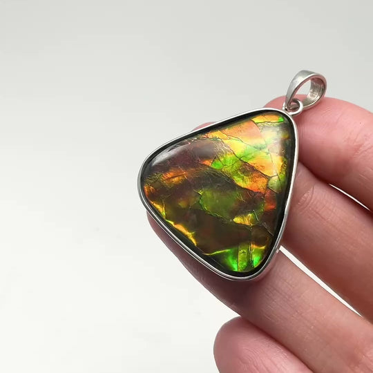 Alberta Ammolite Pendant