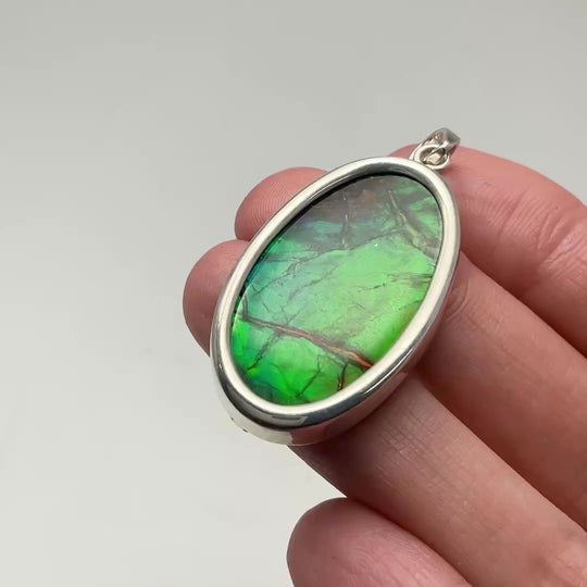 Alberta Ammolite Pendant