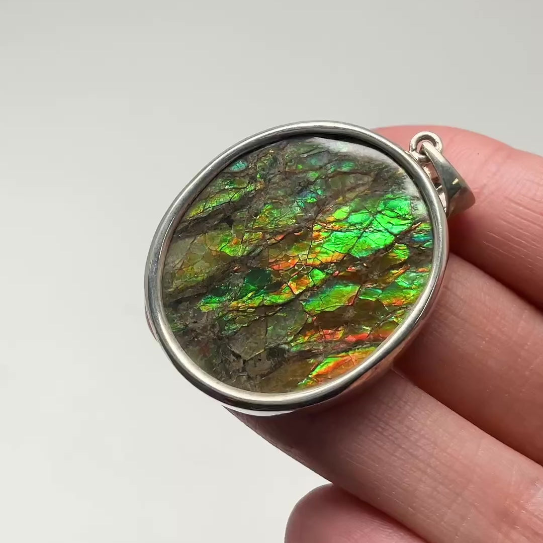 Alberta Ammolite Pendant
