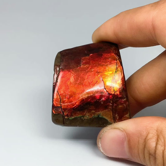 Ammolite Specimen
