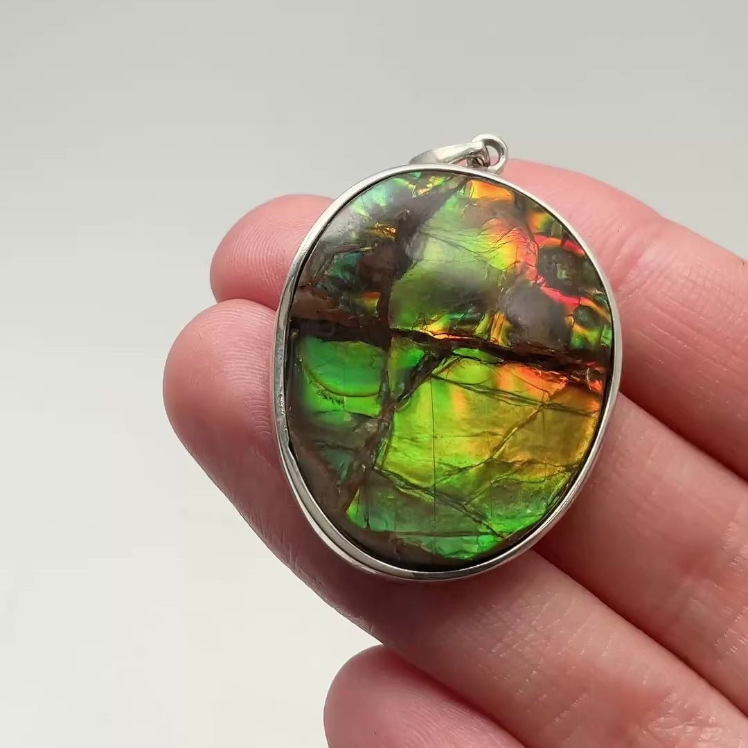 Alberta Ammolite Pendant