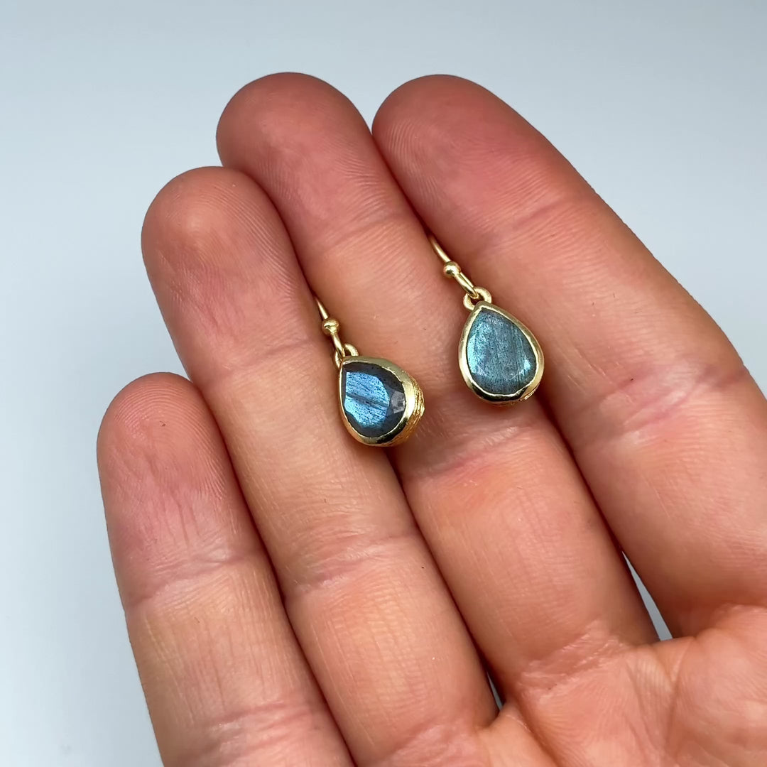 Labradorite Dangle Earrings