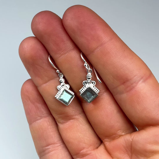 Labradorite Dangle Earrings