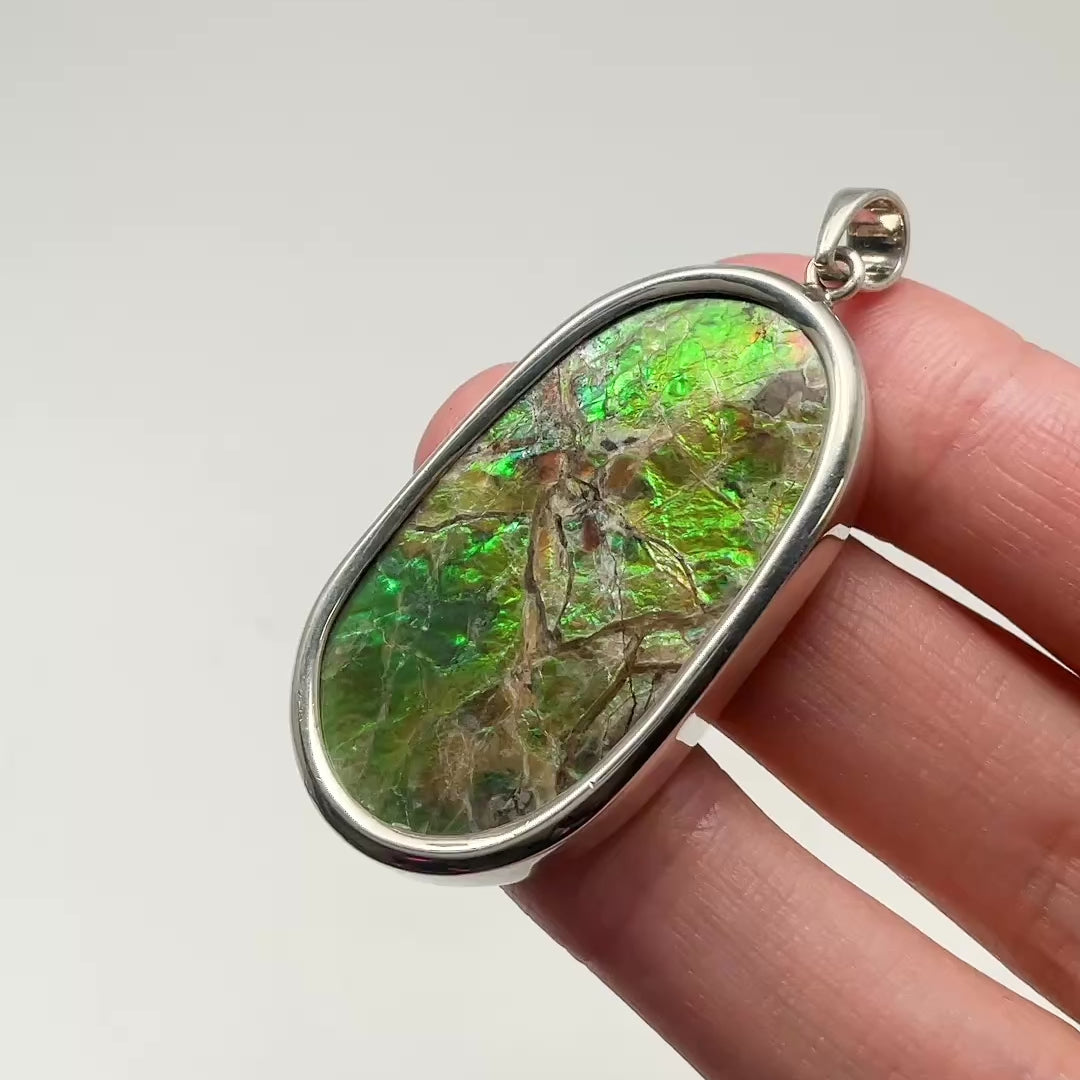 Alberta Ammolite Pendant