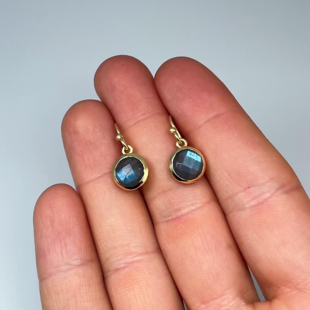 Labradorite Dangle Earrings