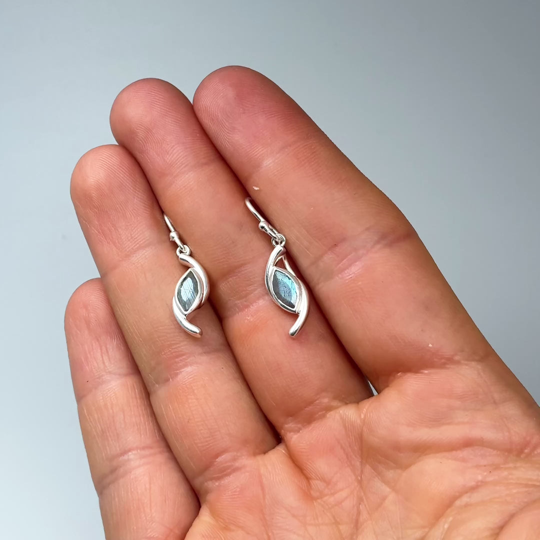 Labradorite Dangle Earrings
