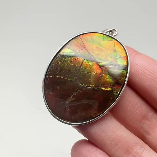 Alberta Ammolite Pendant