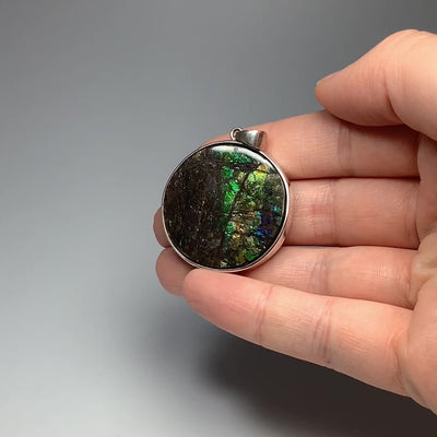 Alberta Ammolite Pendant