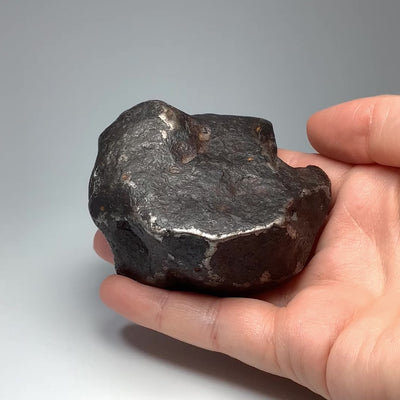 Campo Del Cielo Meteorite Large Specimen