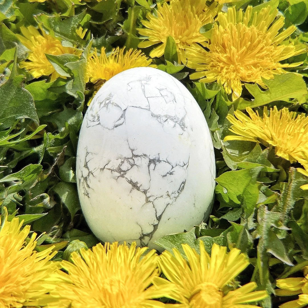 Howlite Egg - Rocks and Gems Canada