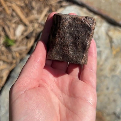 NWA Chondrite Meteorite