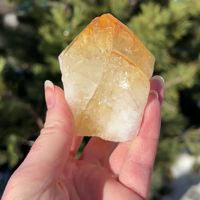 Citrine Rough Chunk