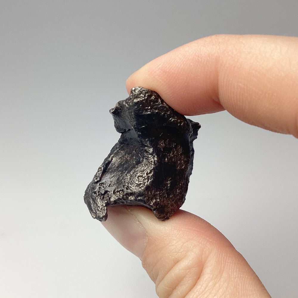 Sikhote-Alin Shrapnel Meteorite - Rocks and Gems Canada