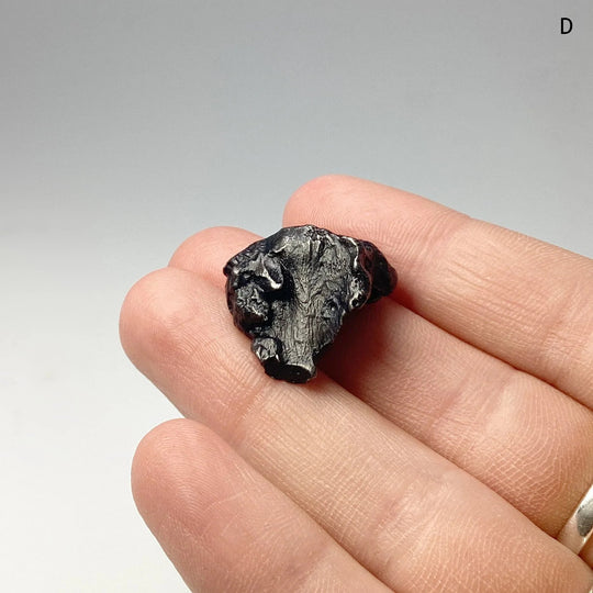 Sikhote-Alin Shrapnel Meteorite - Rocks and Gems Canada