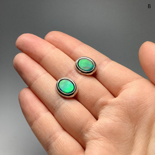 Alberta Ammolite Stud Earrings-Rocks and Gems Canada