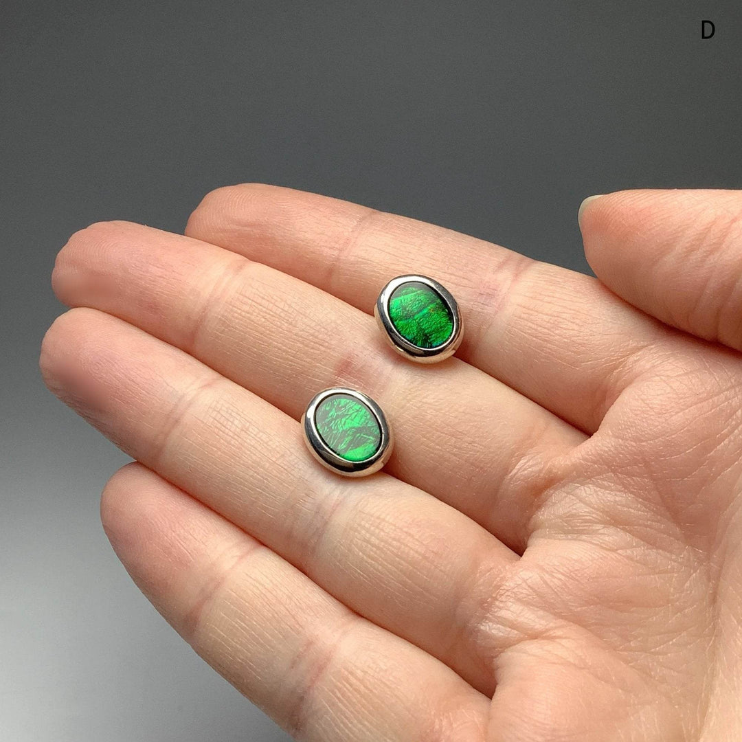Alberta Ammolite Stud Earrings-Rocks and Gems Canada