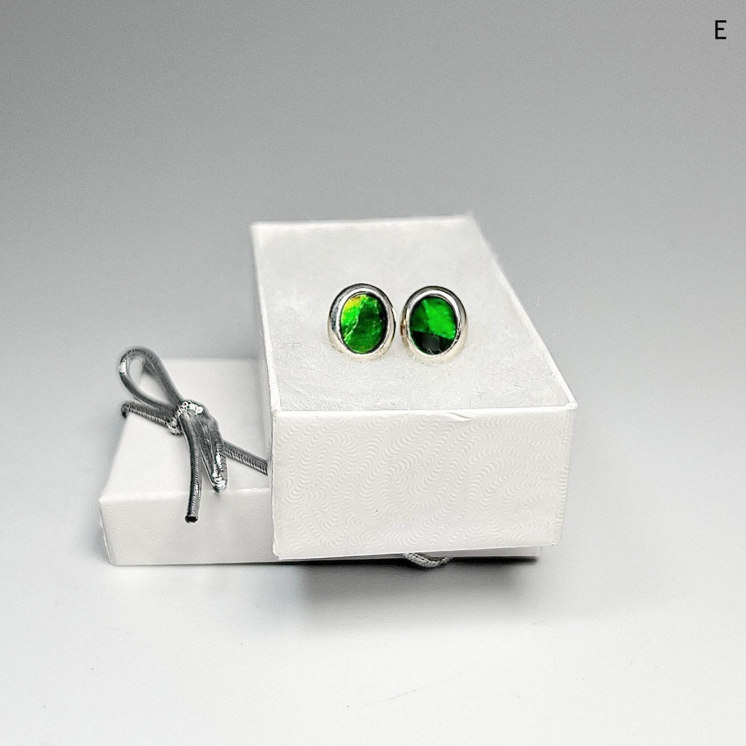 Alberta Ammolite Stud Earrings-Rocks and Gems Canada