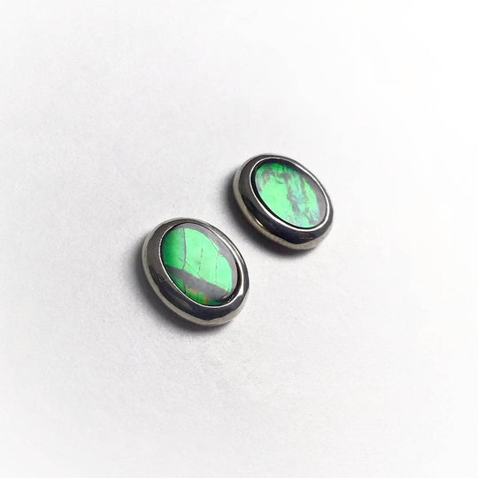 Alberta Ammolite Stud Earrings-Rocks and Gems Canada