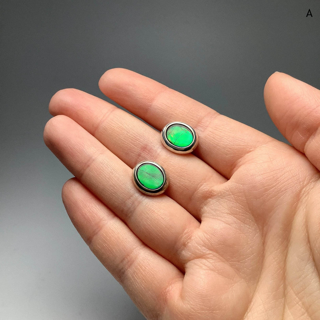Alberta Ammolite Stud Earrings-Rocks and Gems Canada