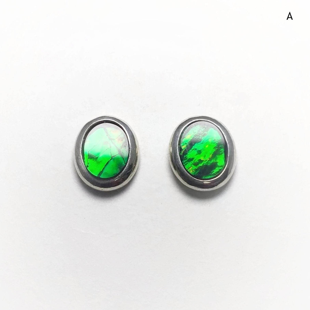 Alberta Ammolite Stud Earrings-Rocks and Gems Canada