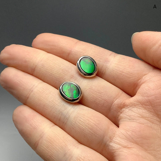 Alberta Ammolite Stud Earrings-Rocks and Gems Canada