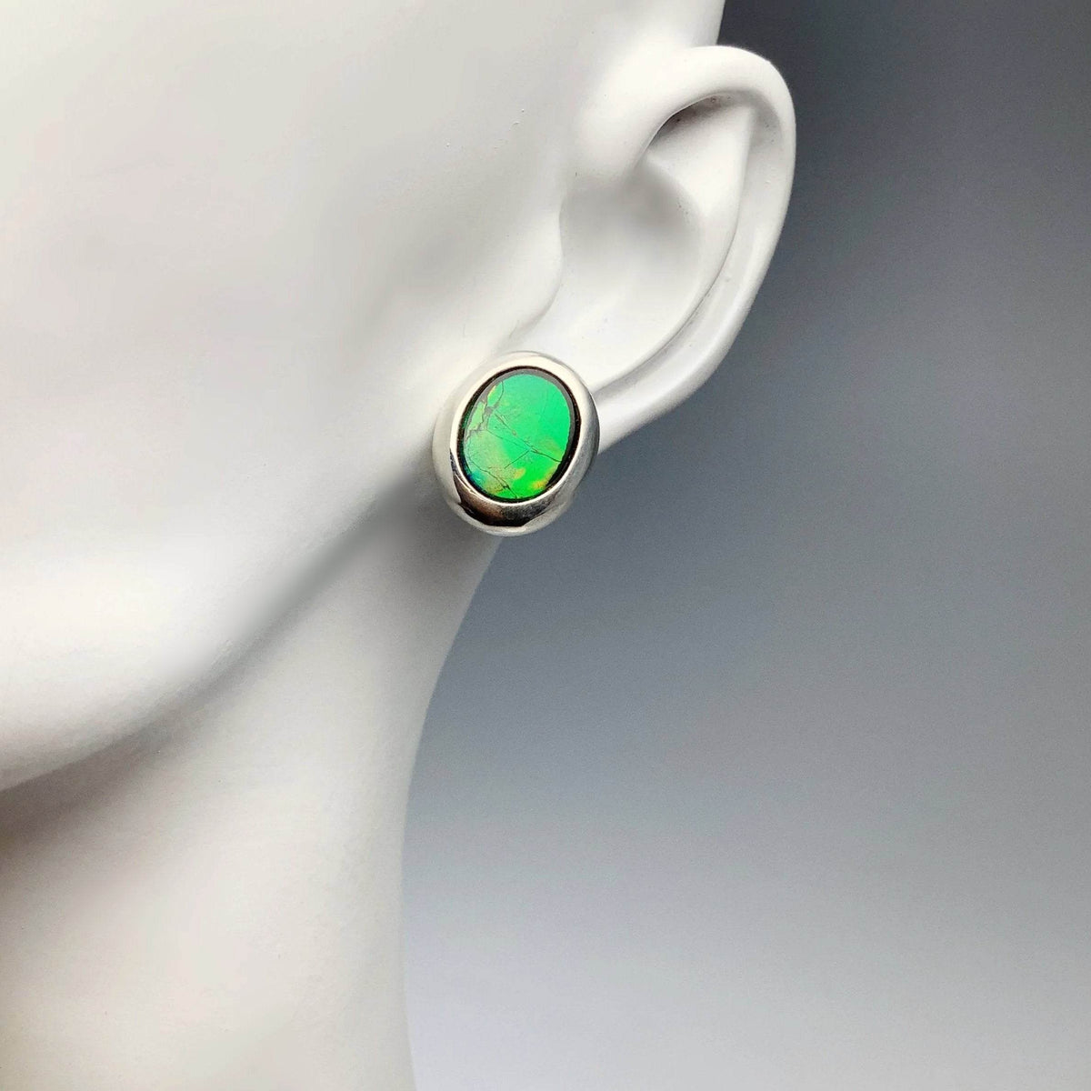 Alberta Ammolite Stud Earrings-Rocks and Gems Canada