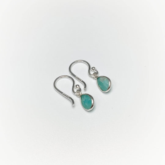 Amazonite Dangle Earrings-Rocks and Gems Canada