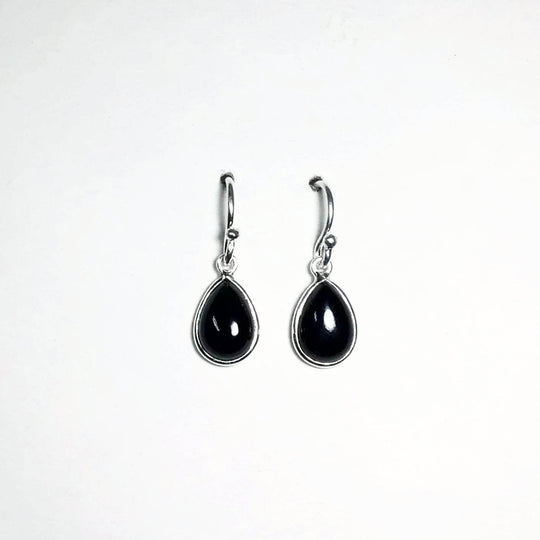 Black Onyx Dangle Earrings-Rocks and Gems Canada