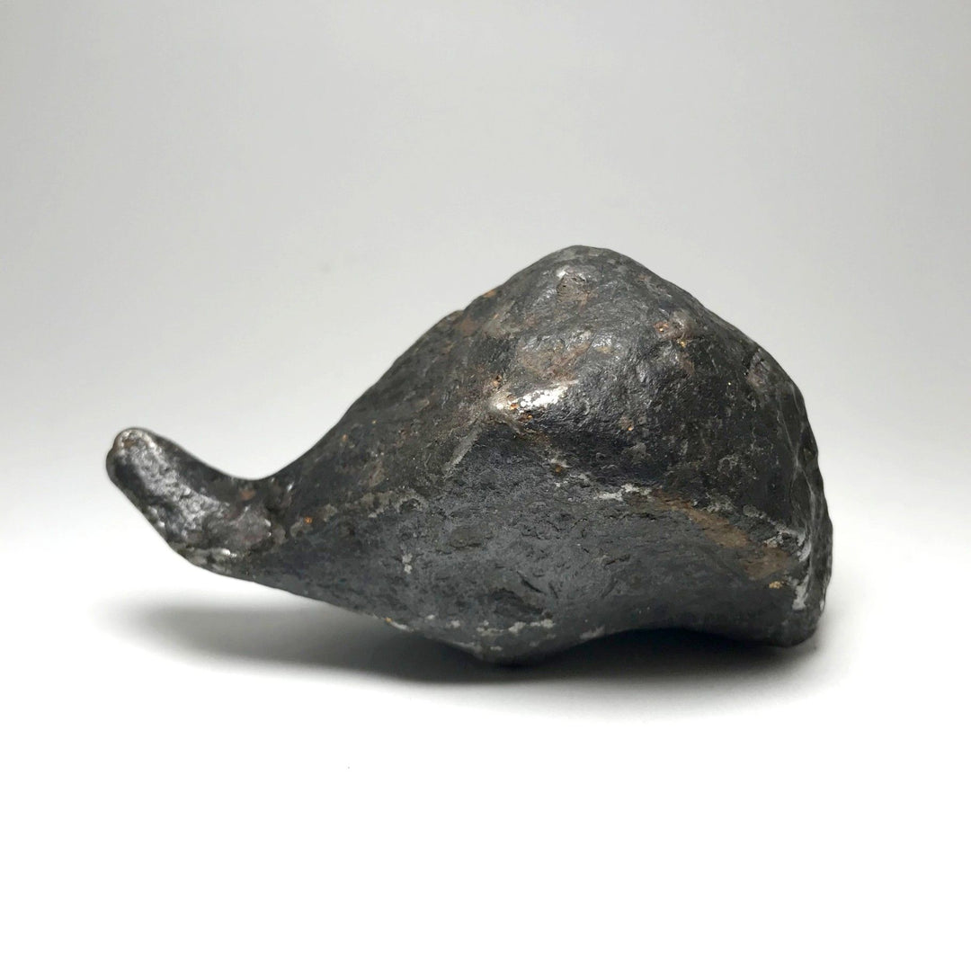 Campo Del Cielo Meteorite - Rocks and Gems Canada