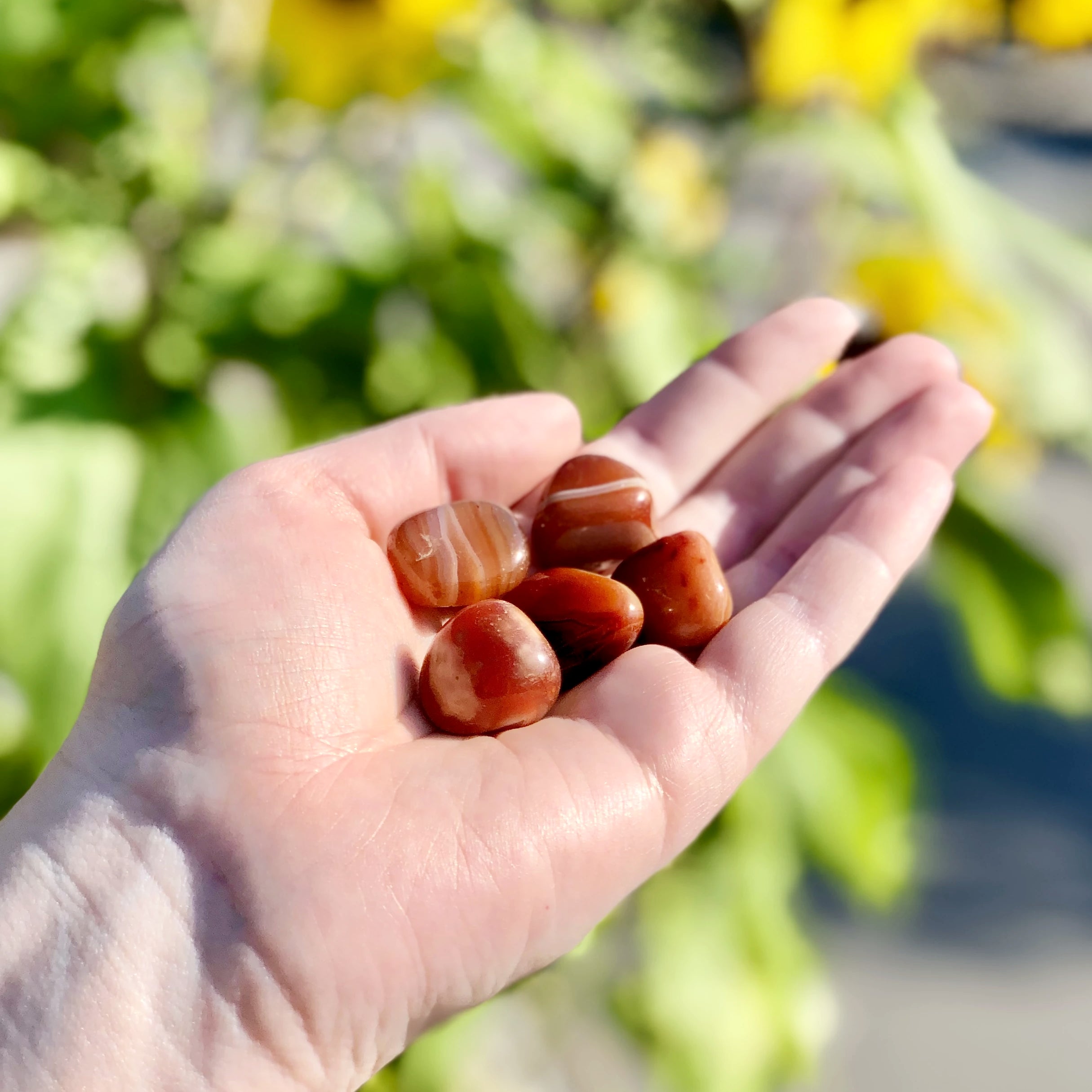 Carnelian Agate Small Tumbles Pouch - Rocks and Gems Canada