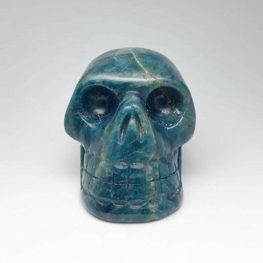 Carved Blue Apatite Skull-Rocks and Gems Canada