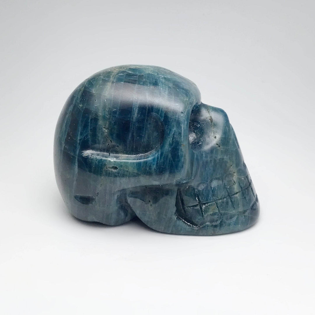 Carved Blue Apatite Skull-Rocks and Gems Canada