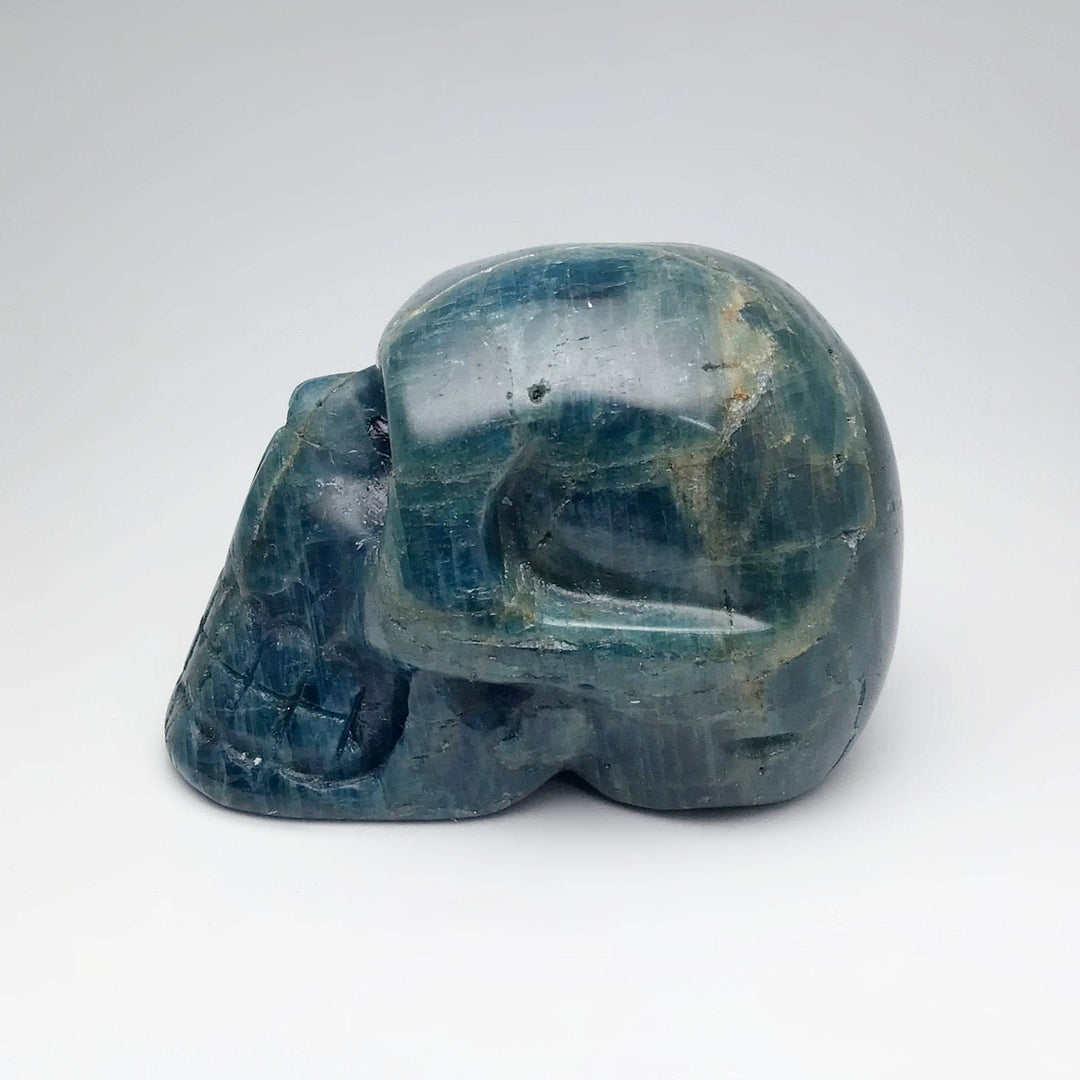 Carved Blue Apatite Skull-Rocks and Gems Canada