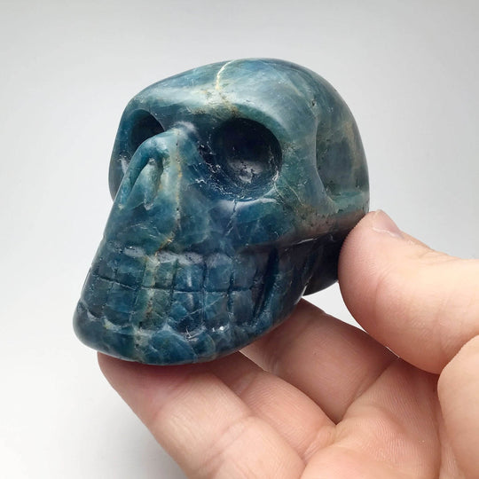 Carved Blue Apatite Skull-Rocks and Gems Canada