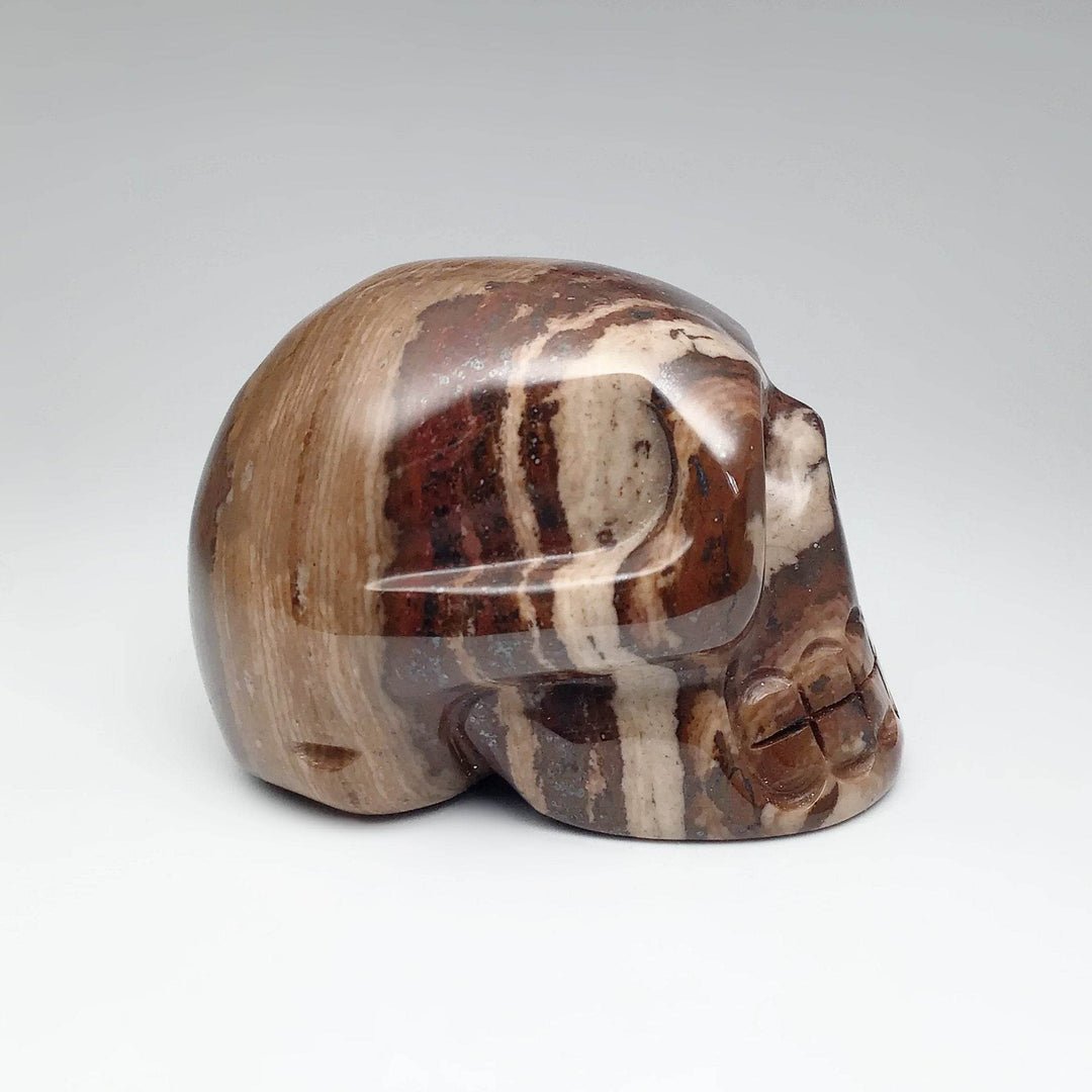 Carved Chocolate Jasper Skull-Rocks and Gems Canada