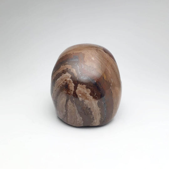 Carved Chocolate Jasper Skull-Rocks and Gems Canada