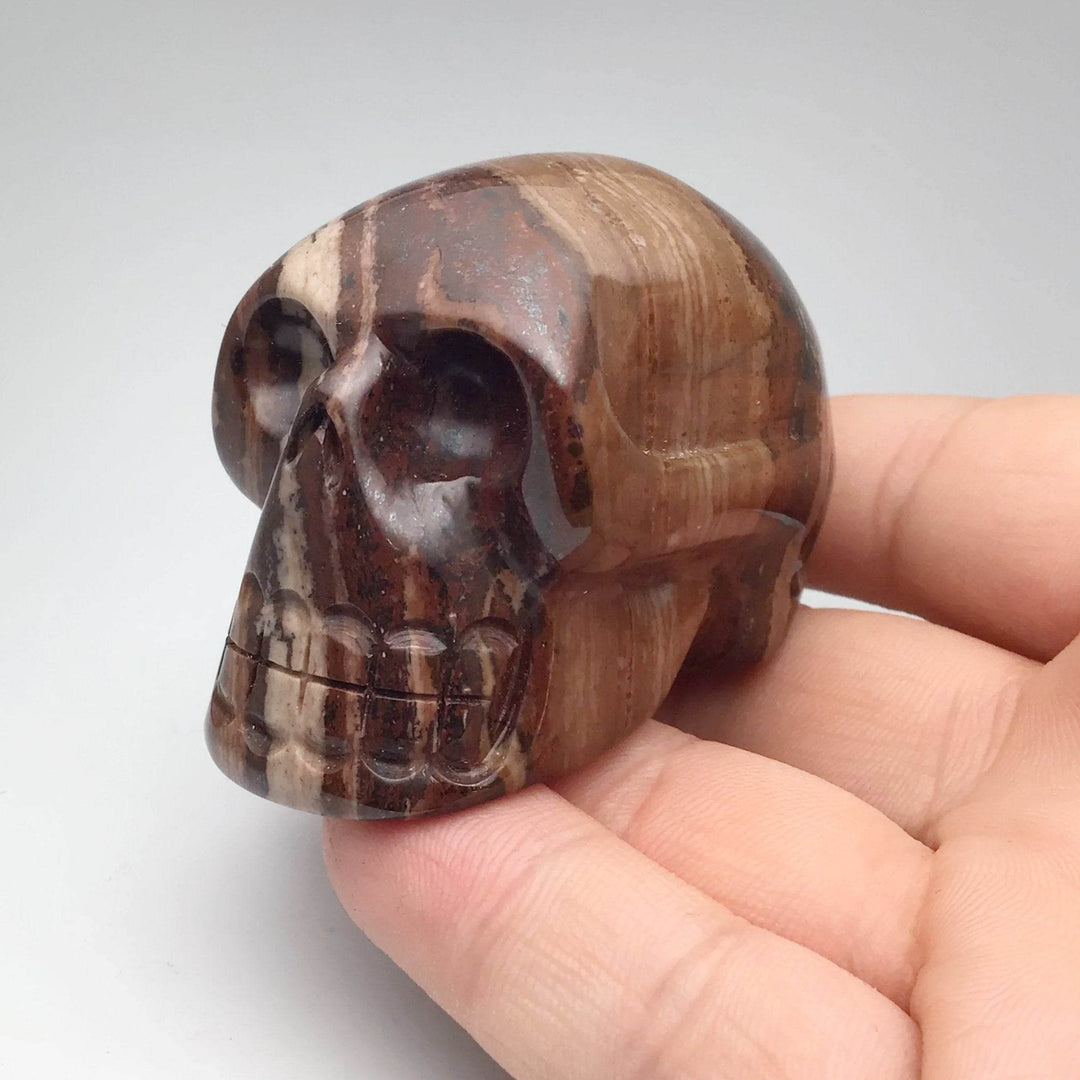 Carved Chocolate Jasper Skull-Rocks and Gems Canada