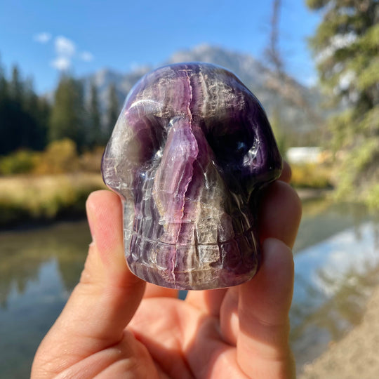 Carved Fluorite Skull-Rocks and Gems Canada